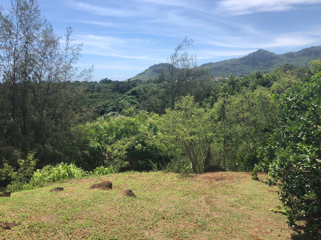 蔗林农场庄园博物馆-利胡埃必去景点