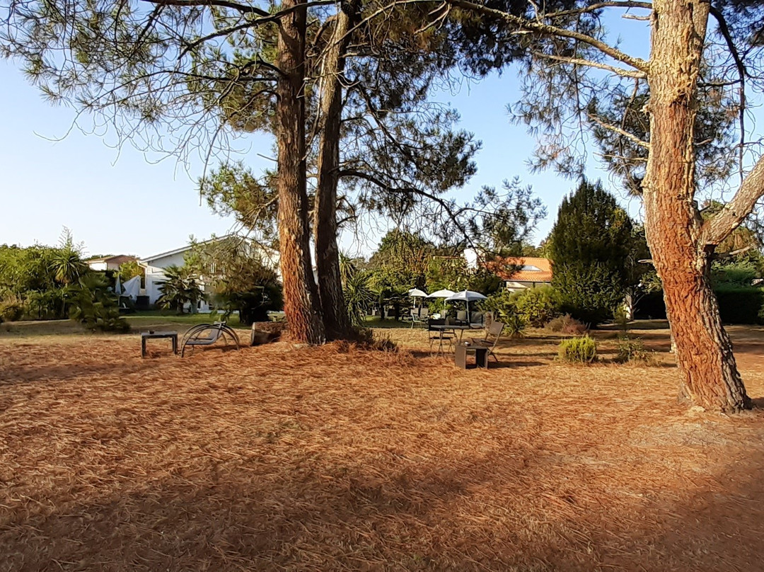 Villa Saint Barth主图