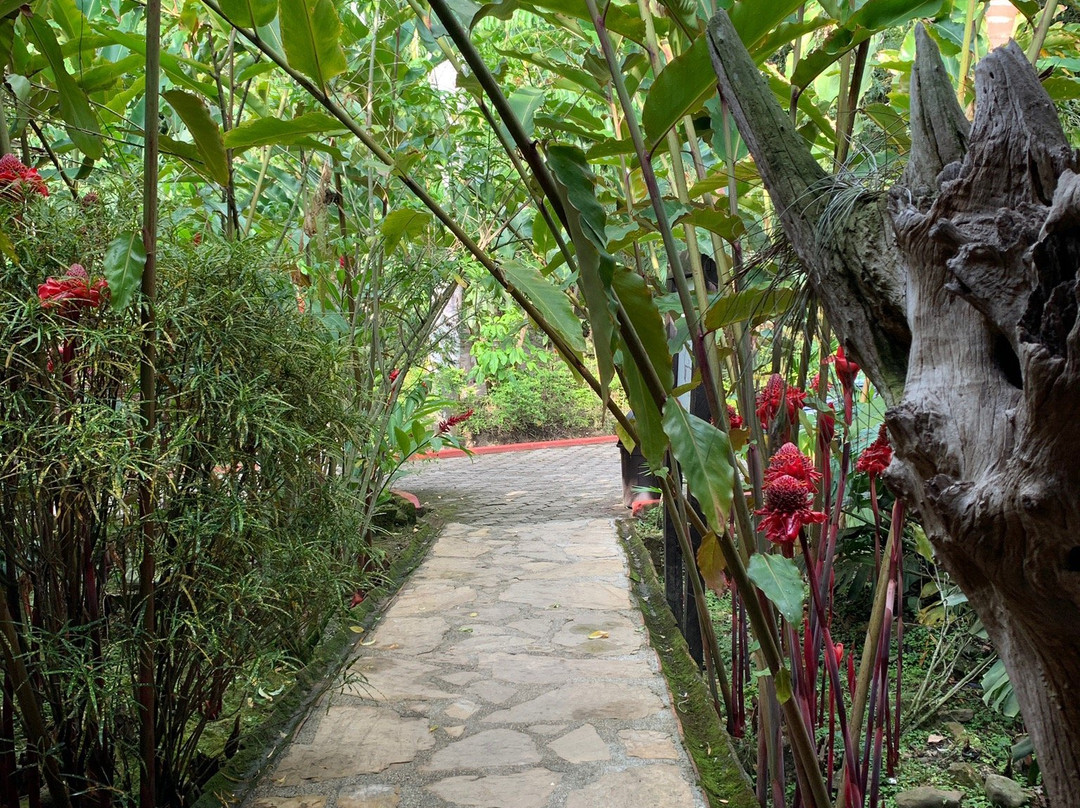 Finca Hotel Paraiso Terrenal主图