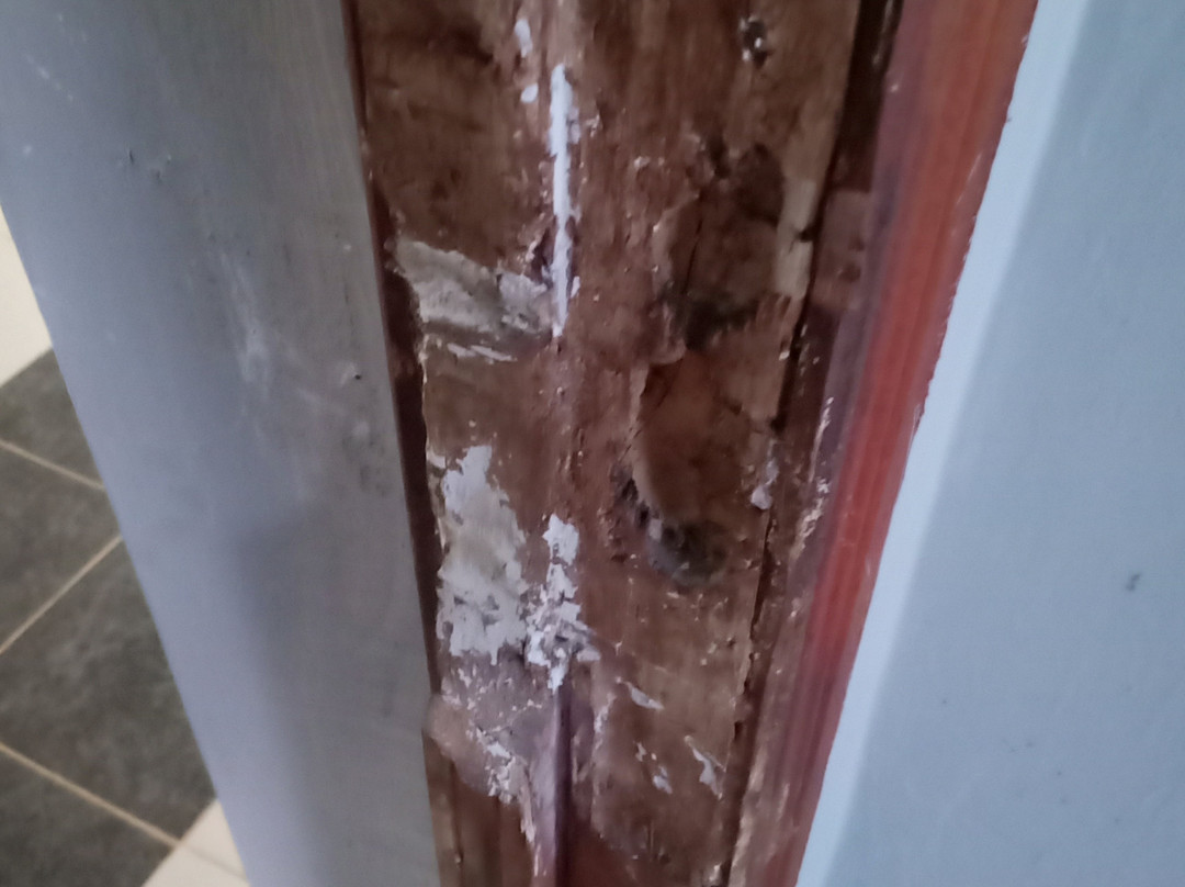 Parkside Villa主图