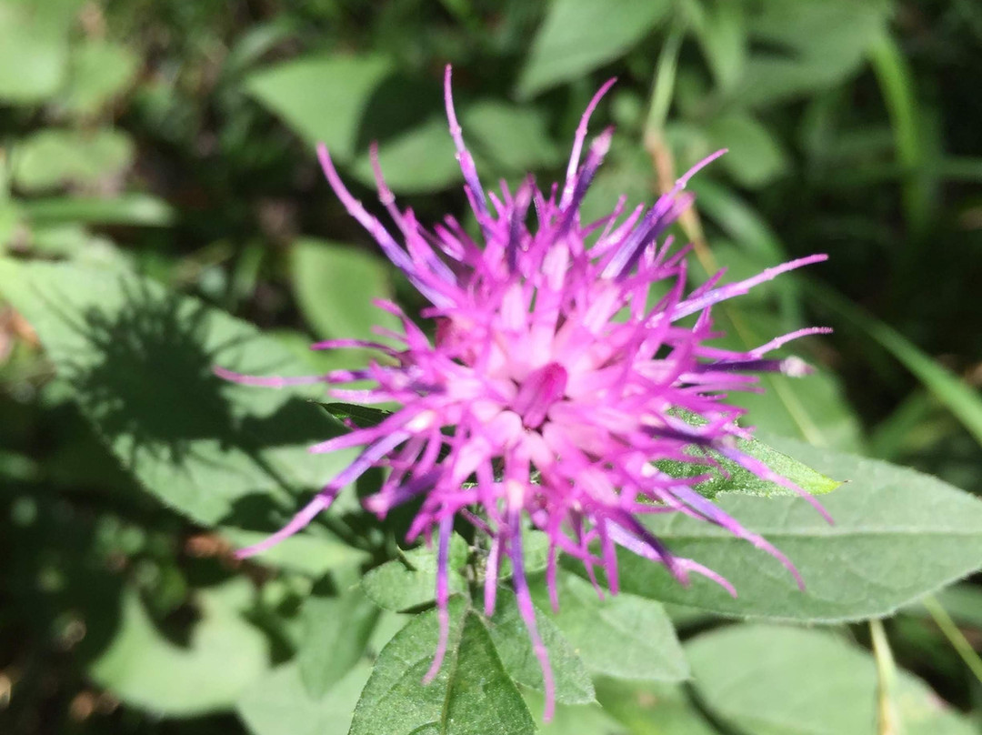 Zerkalo Rock-Goryachy Klyuch必去景点