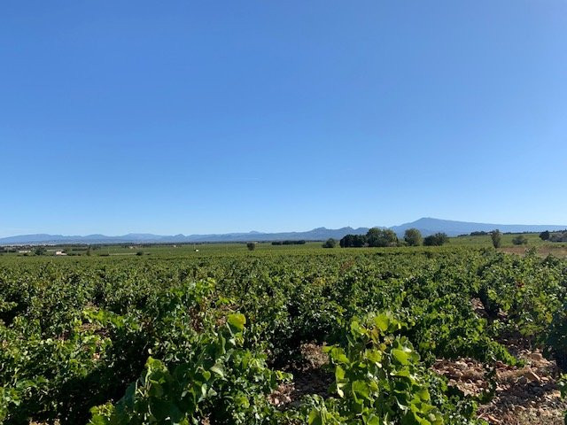 Rhone Wine Tours-尼永必去景点