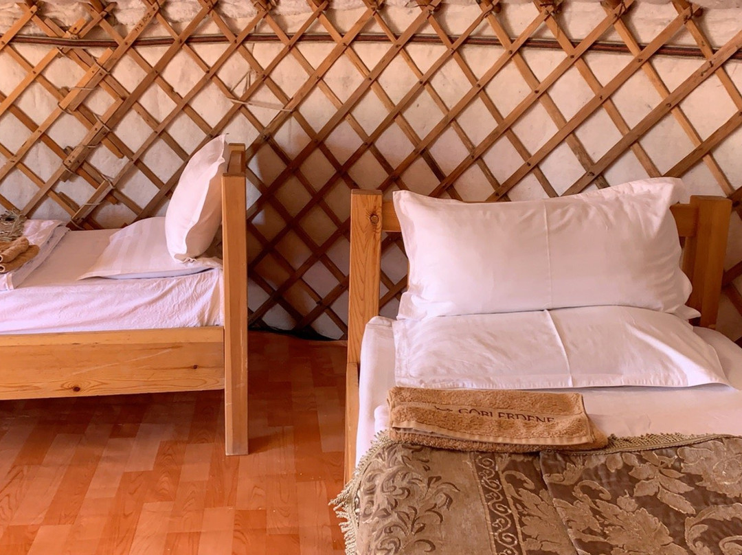 Gobi Erdene Ger Camp