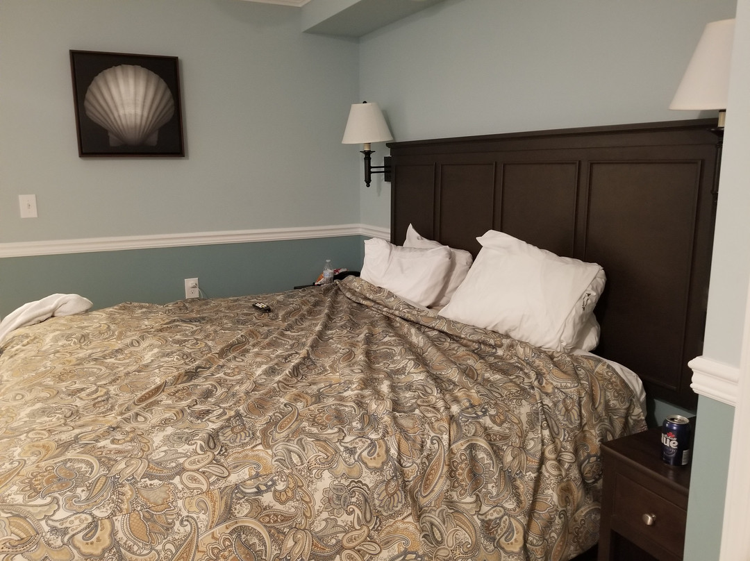 The Stone Harbor Inn主图