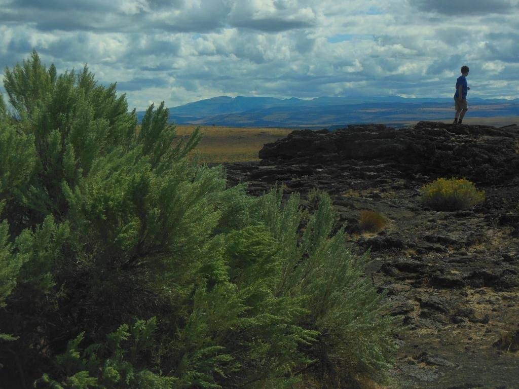 Diamond Craters Outstanding Natural Area-Diamond必去景点