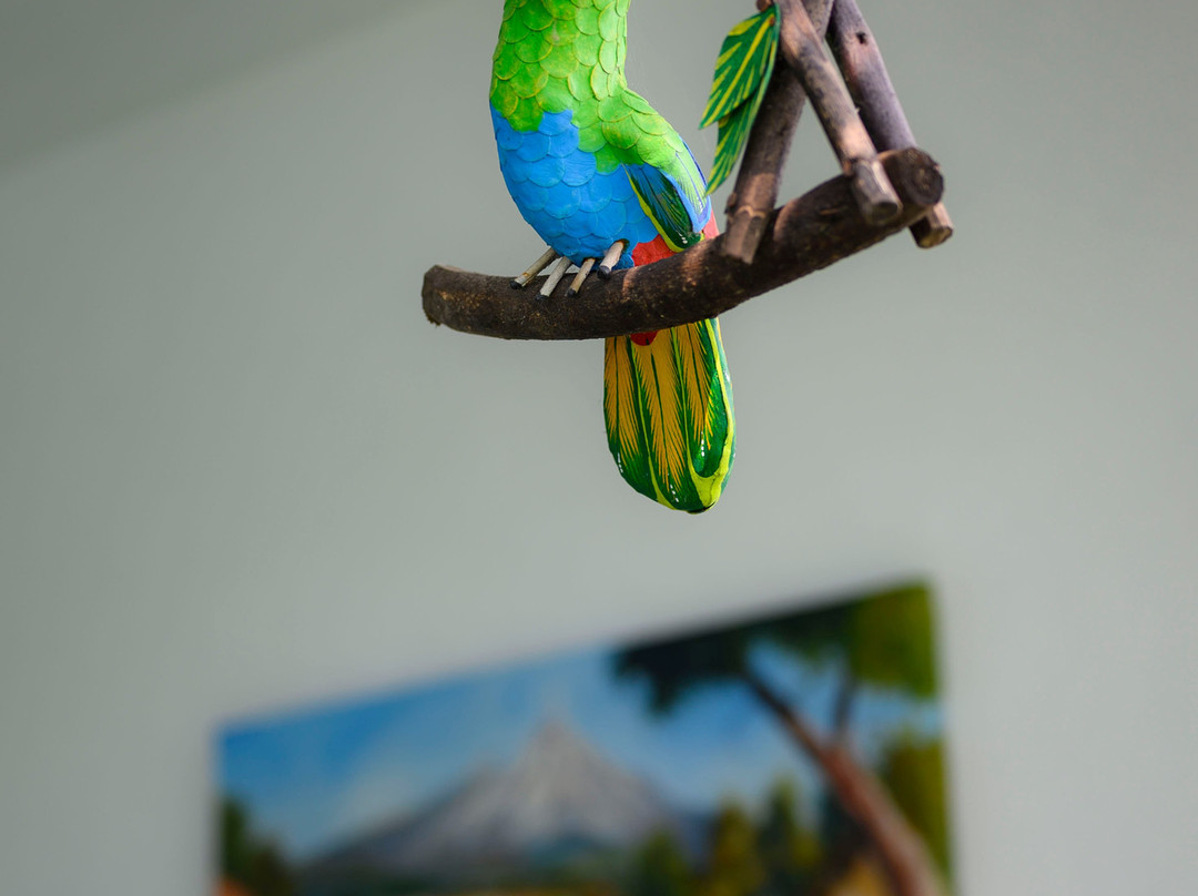 Playa Miramar-曼萨尼约必去景点