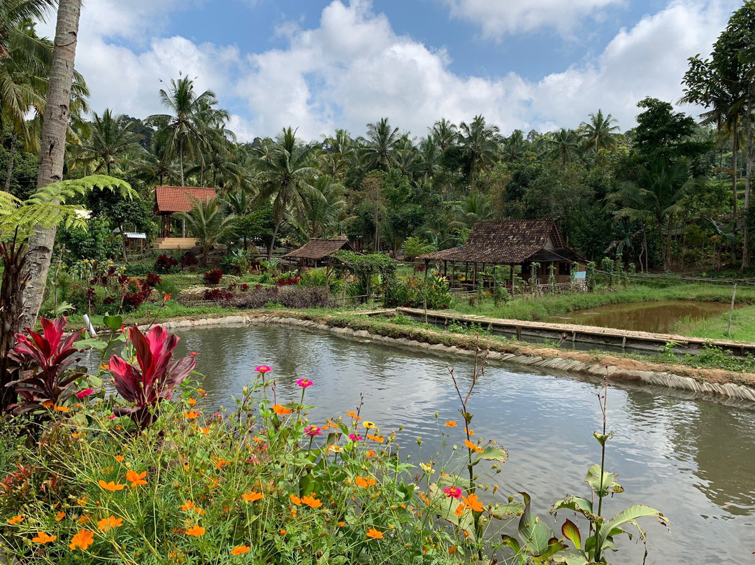 Herry's Guesthouse 2主图