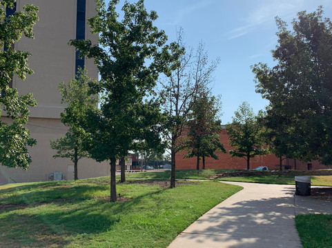 Park Central-威奇托福尔斯必去景点