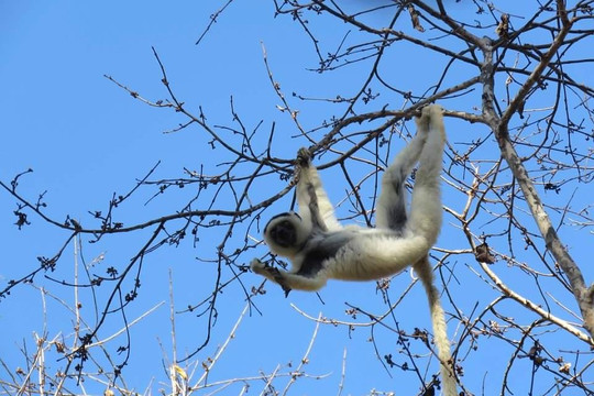 MUDT-安塔那那利佛必去景点
