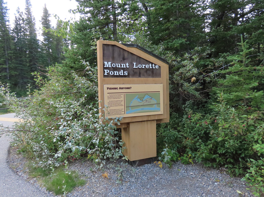 Mt. Lorette Ponds-Peter Lougheed Provincial Park必去景点