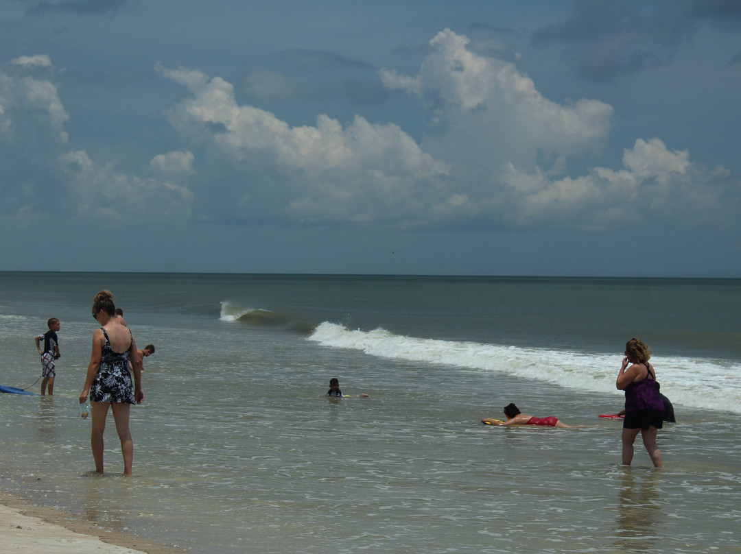 Apollo Beach Nature Preserve景点图片