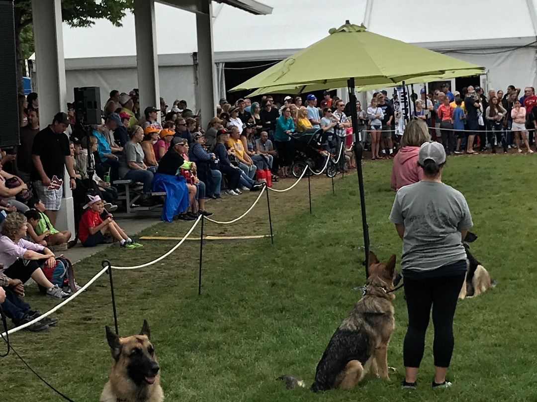 Minnesota State Fair-圣保罗必去景点