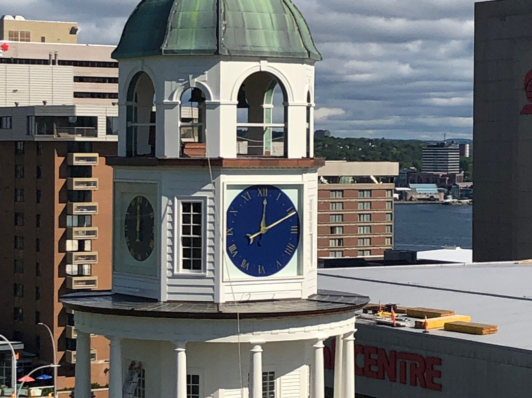 Harbour Hopper Tours-哈利法克斯必去景点