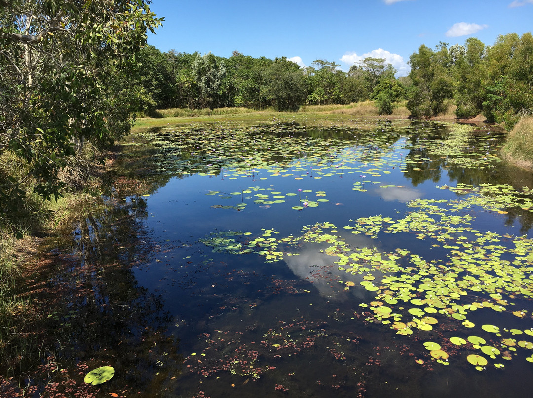 TYTO Parklands-Ingham必去景点