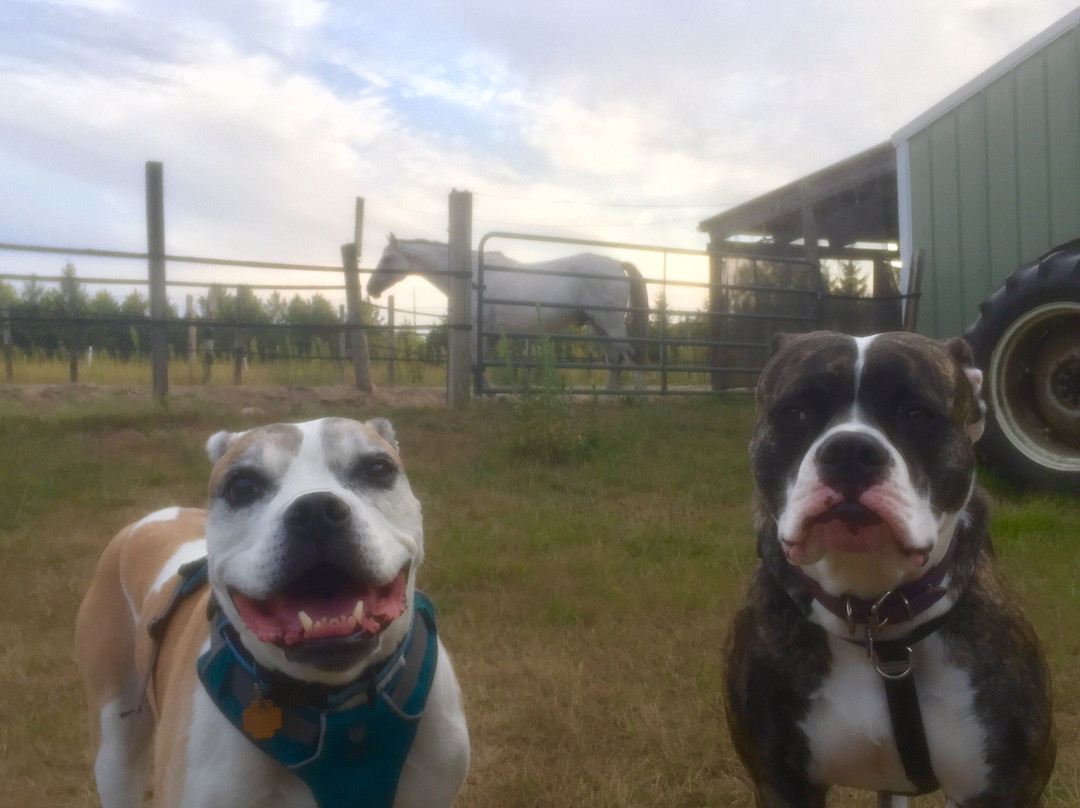 Grace Grange Lodge and Stable主图