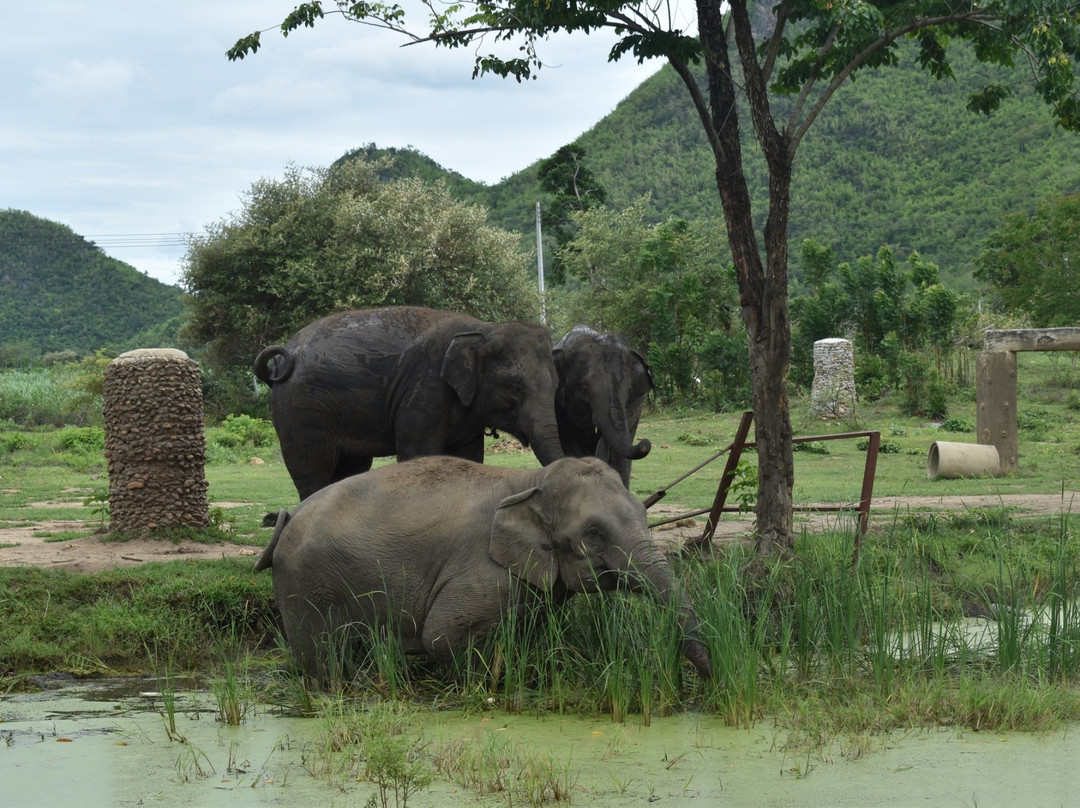 大象世界景点图片