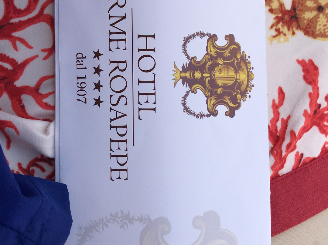 泰尔梅罗莎佩佩酒店主图