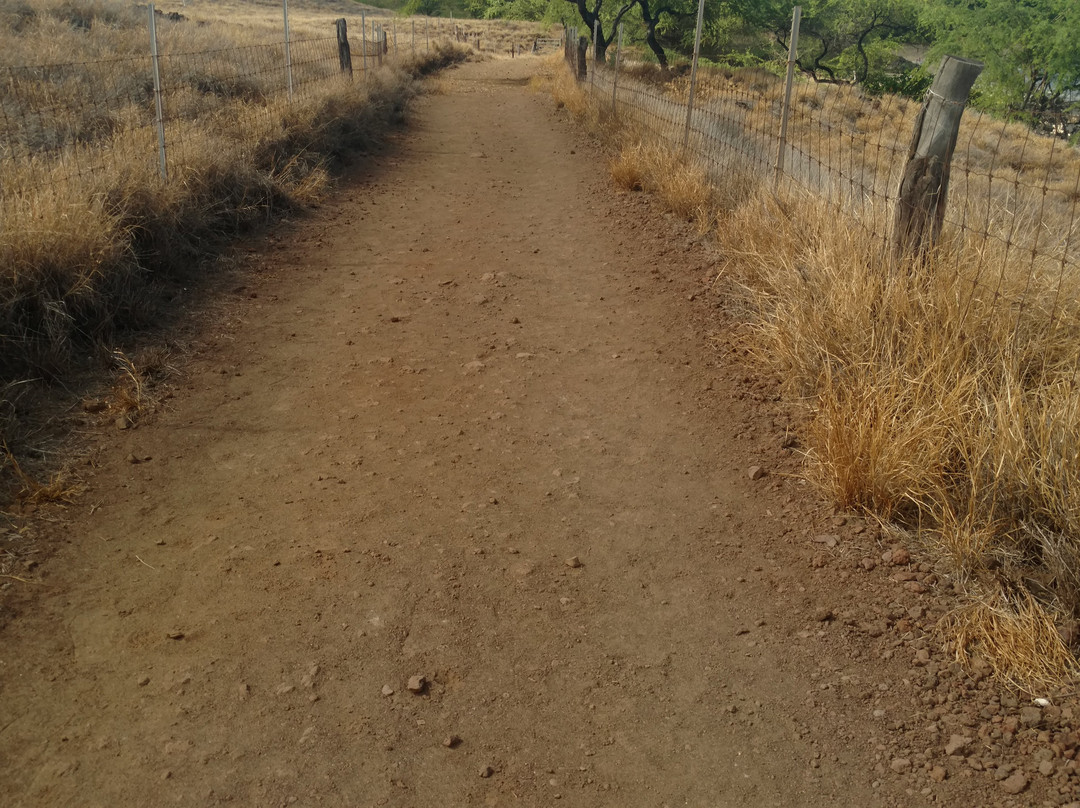 Mau'umae Beach-卡慕也拉必去景点