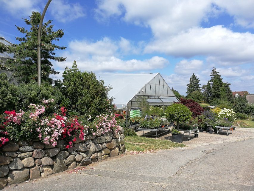 Dersau旅游攻略图片