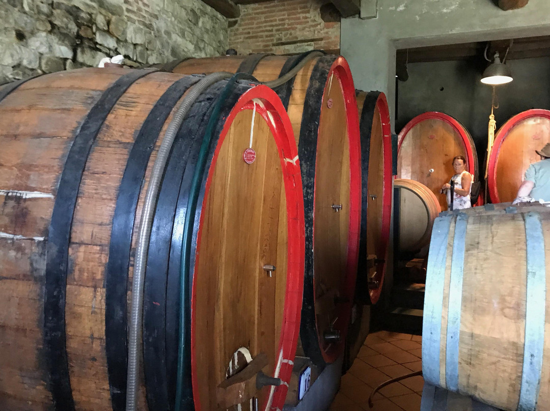 WINEAFTERWINE - Wine tasting e wine tours in Tuscany景点图片