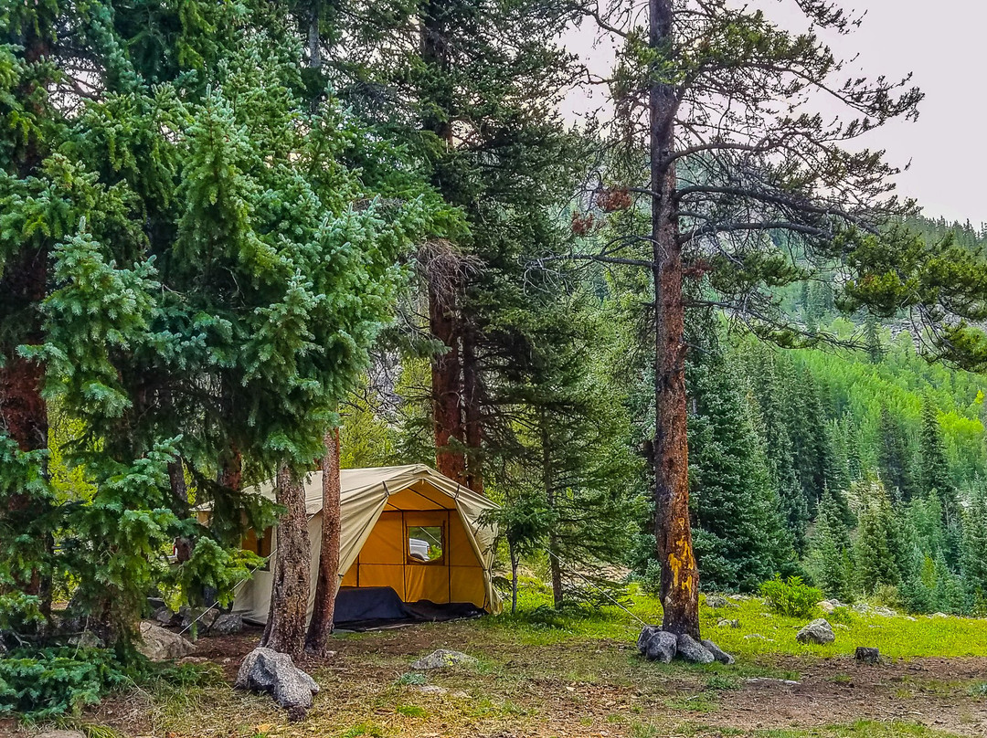 Gunnison National Forest景点图片