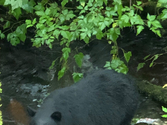 Kawanti Adventures-凯奇坎必去景点