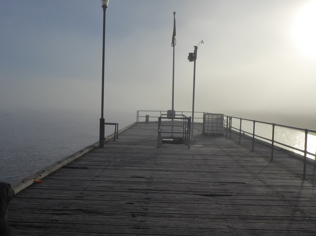 Aberdyfi (aberdovey) Pier景点图片