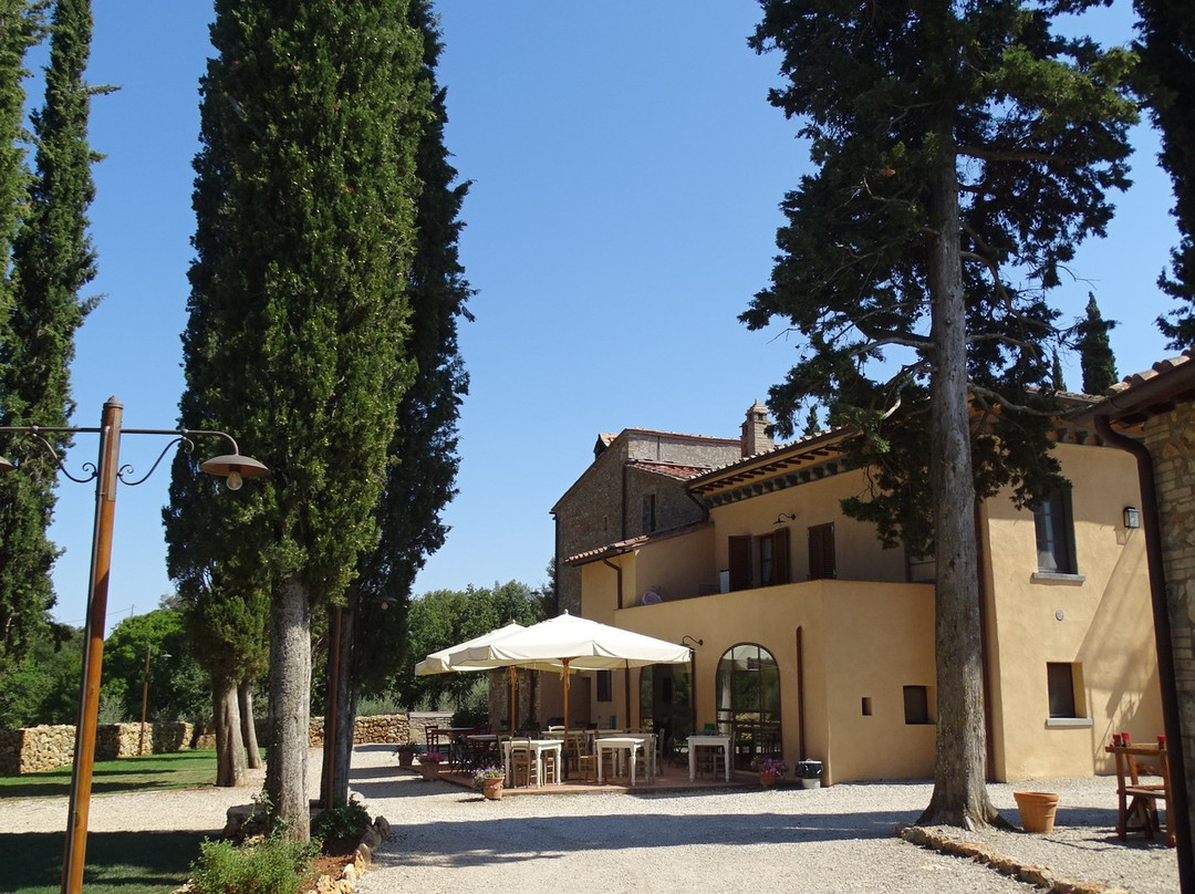 La Tenuta di Castelvecchio主图