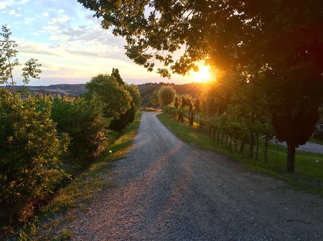 Divinalux Winery Estate