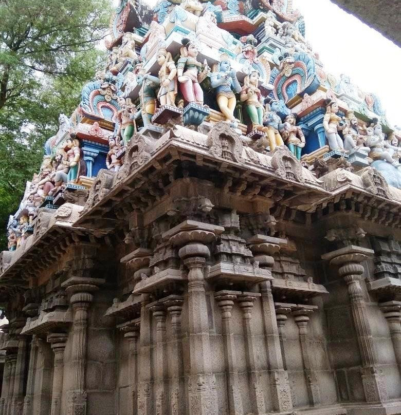 Vijayasasana Perumal Temple景点图片