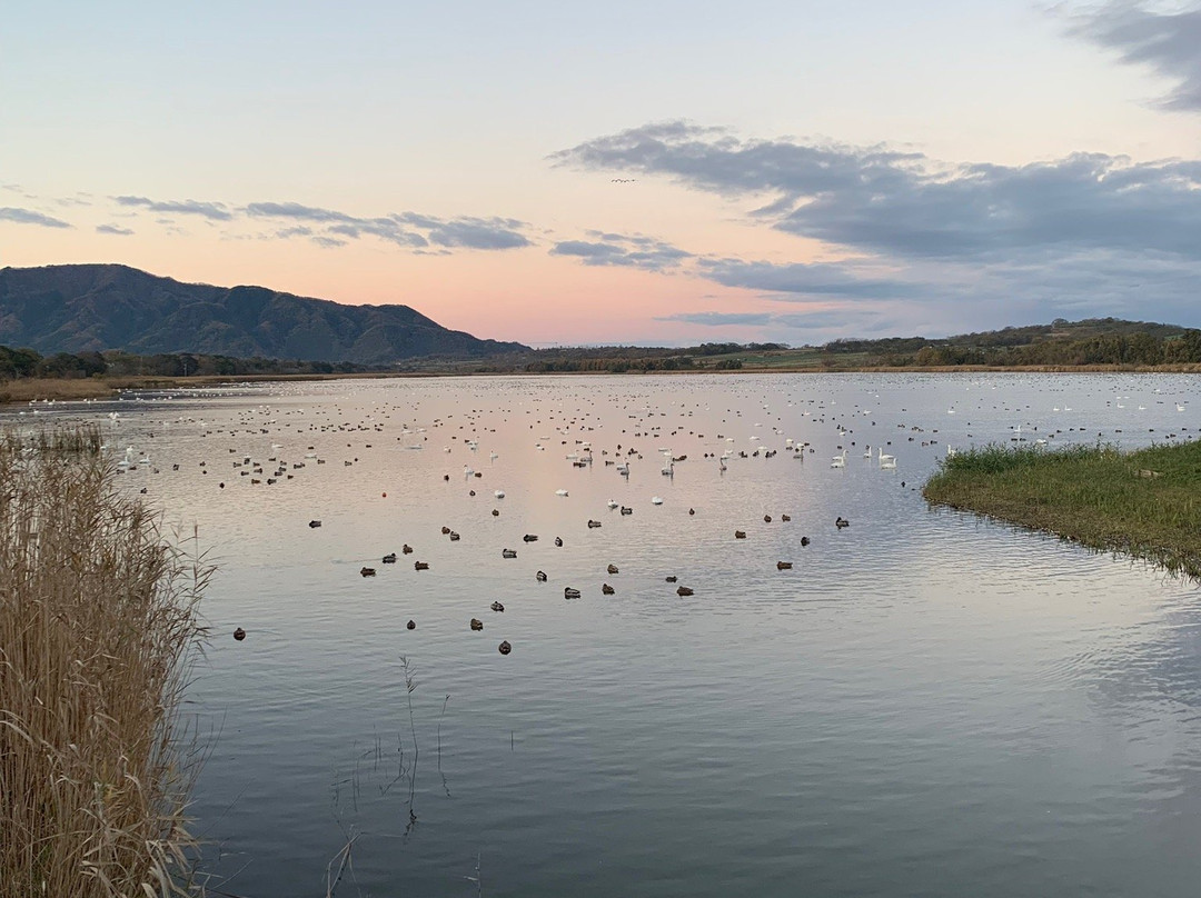 Sakata Park-新泻市必去景点