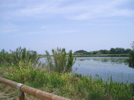 La Voie Verte de L'Agly景点图片