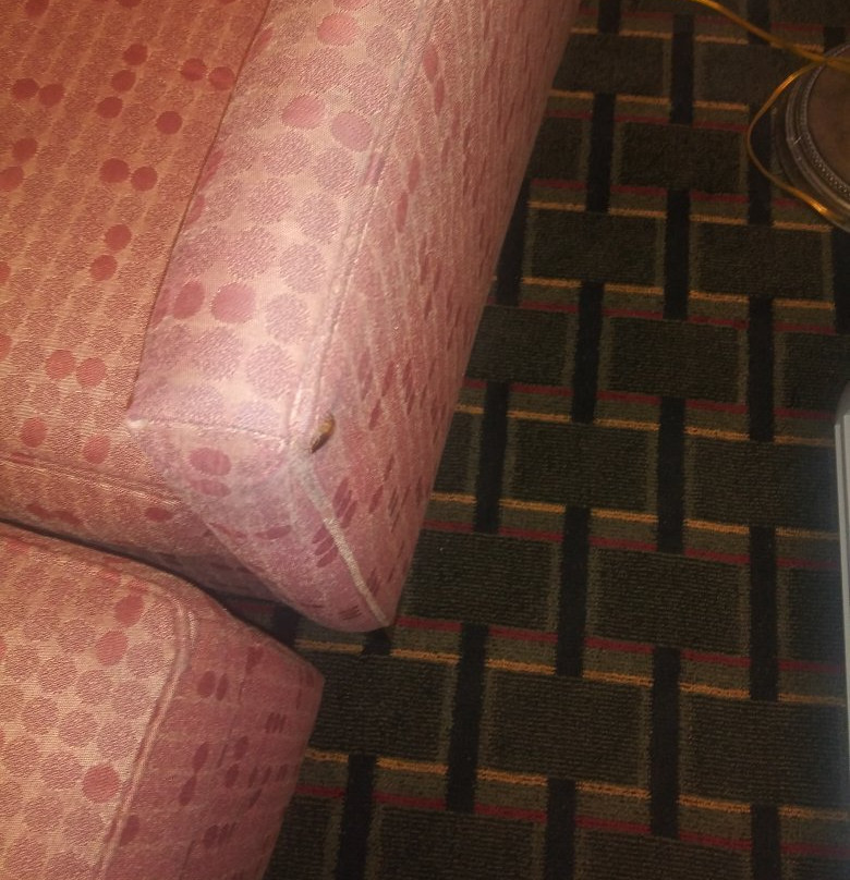 Jameson Inn Douglas主图