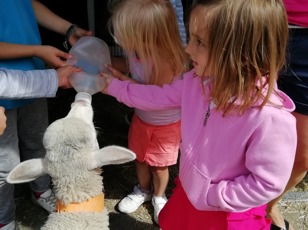 La Ferme du Cugnon-Hauteluce必去景点