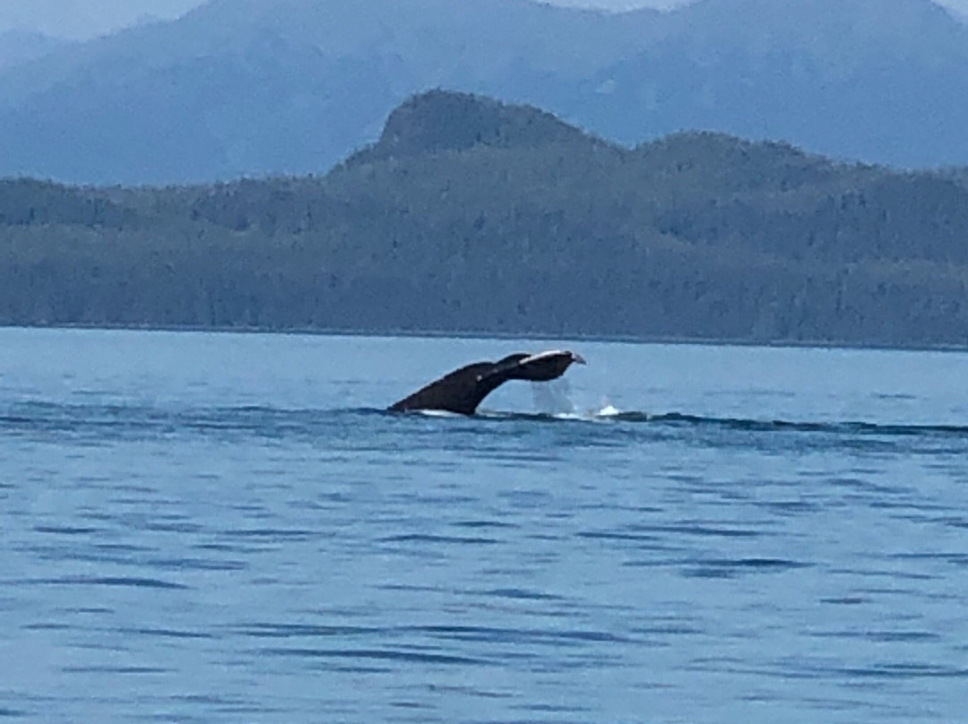 Icy Strait Whale Adventures-胡纳必去景点