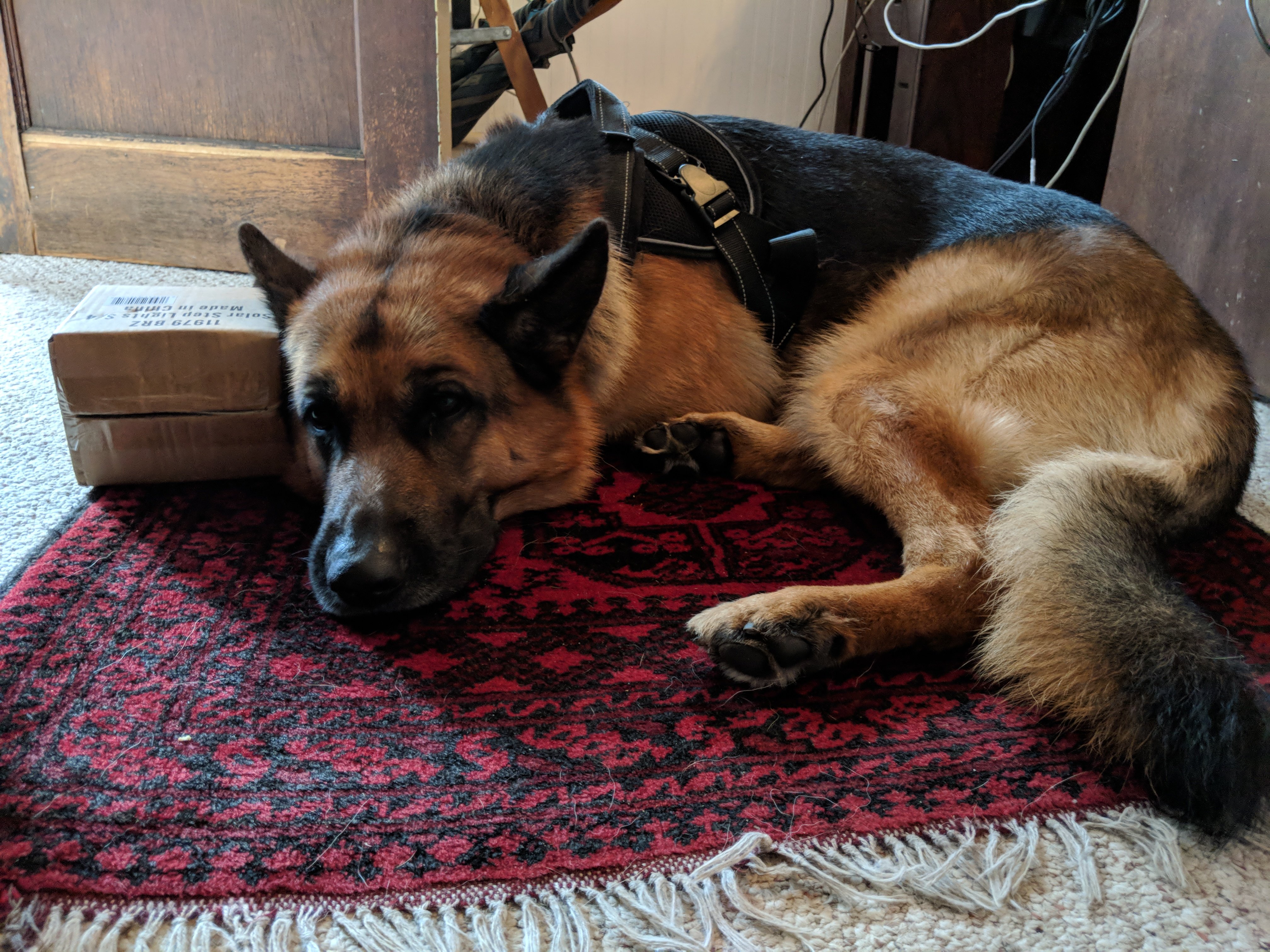 Beech Tree Inn- Brookline-商务中心/多功能厅