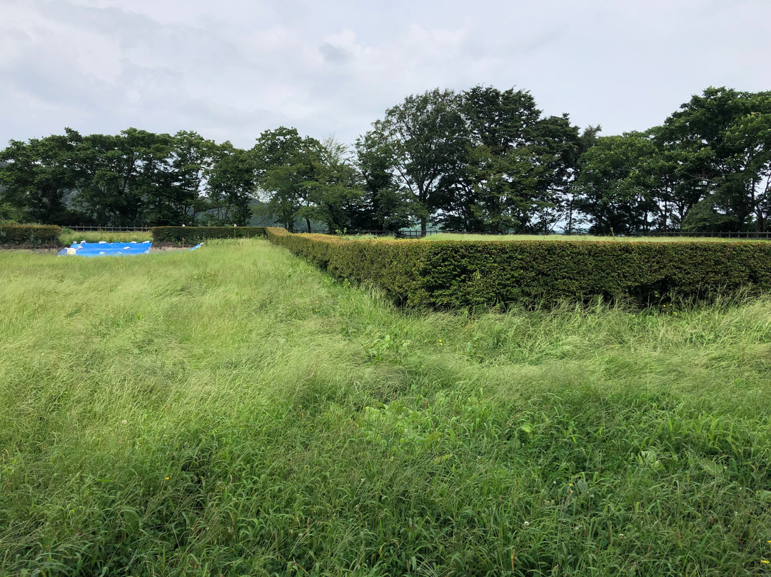 Nohe Castle Ruins-二户市必去景点