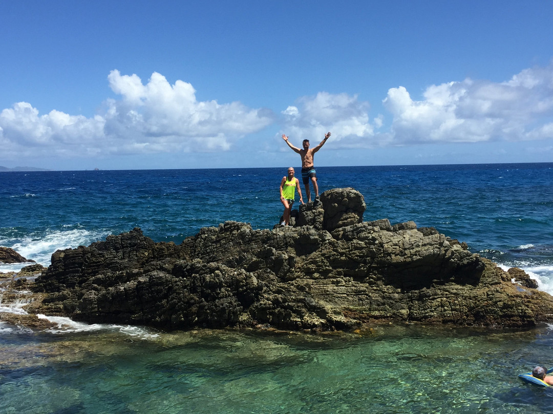 Double The Fun Tours-Cole Bay必去景点