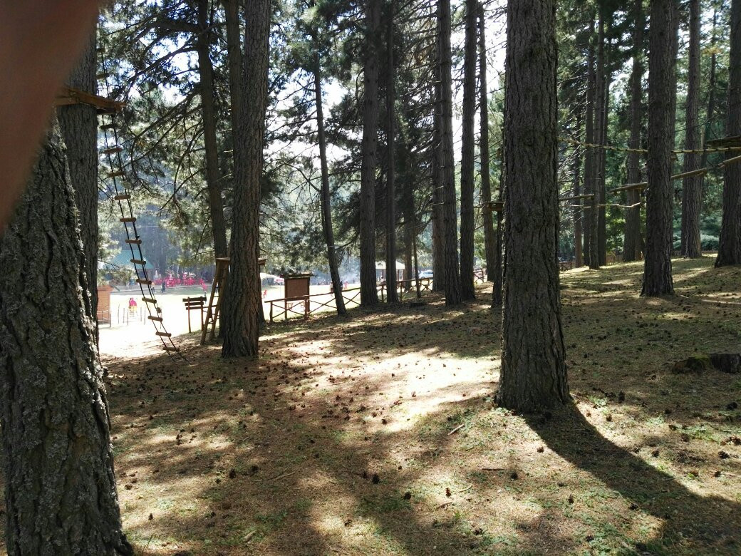 Parco Avventura Principe-Petilia Policastro必去景点