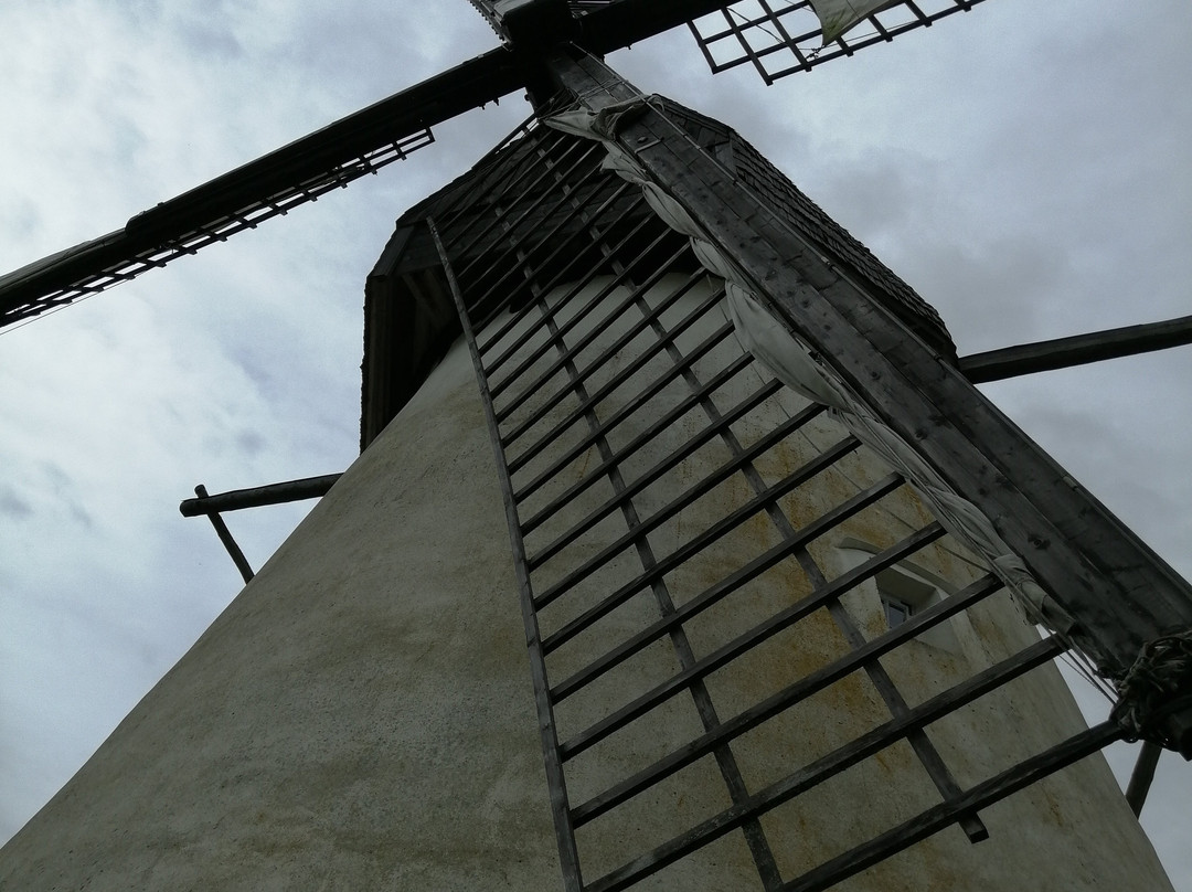 Seidla Windmill-Albu必去景点