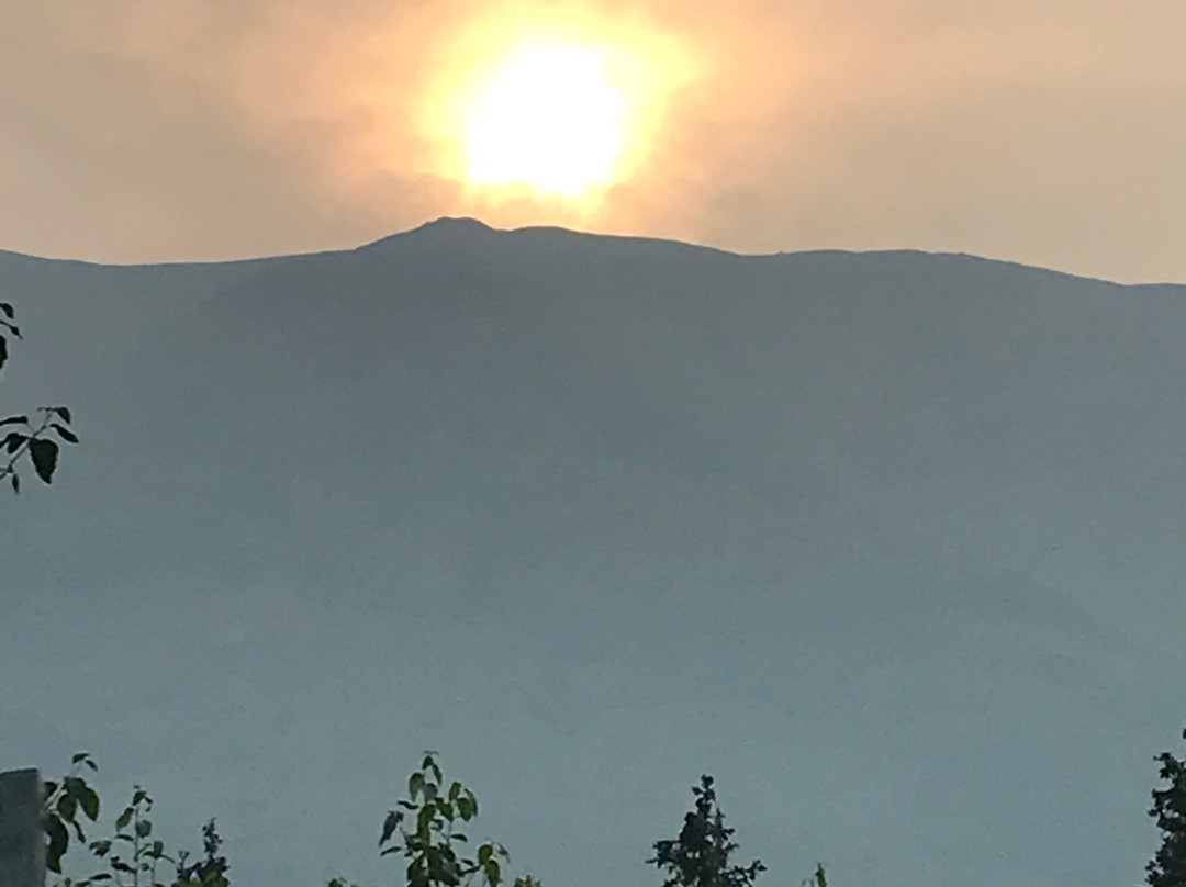 Midnight Sun Log Cabins主图