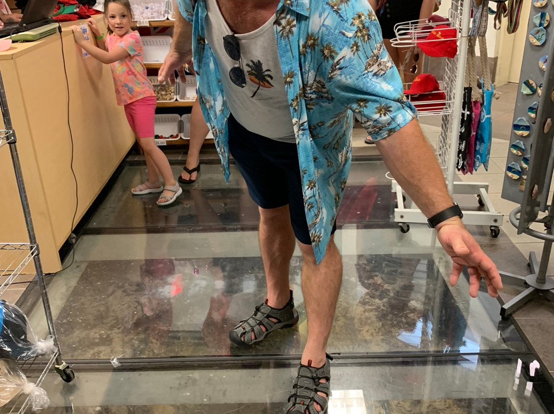 Historic Stepwell-乔治城必去景点