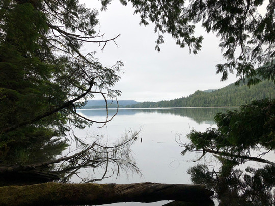 T'ashii Paddle School-托菲诺必去景点