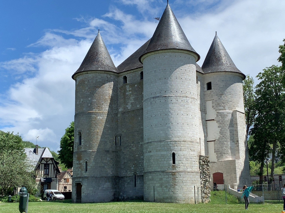 Chateau des Tourelles景点图片