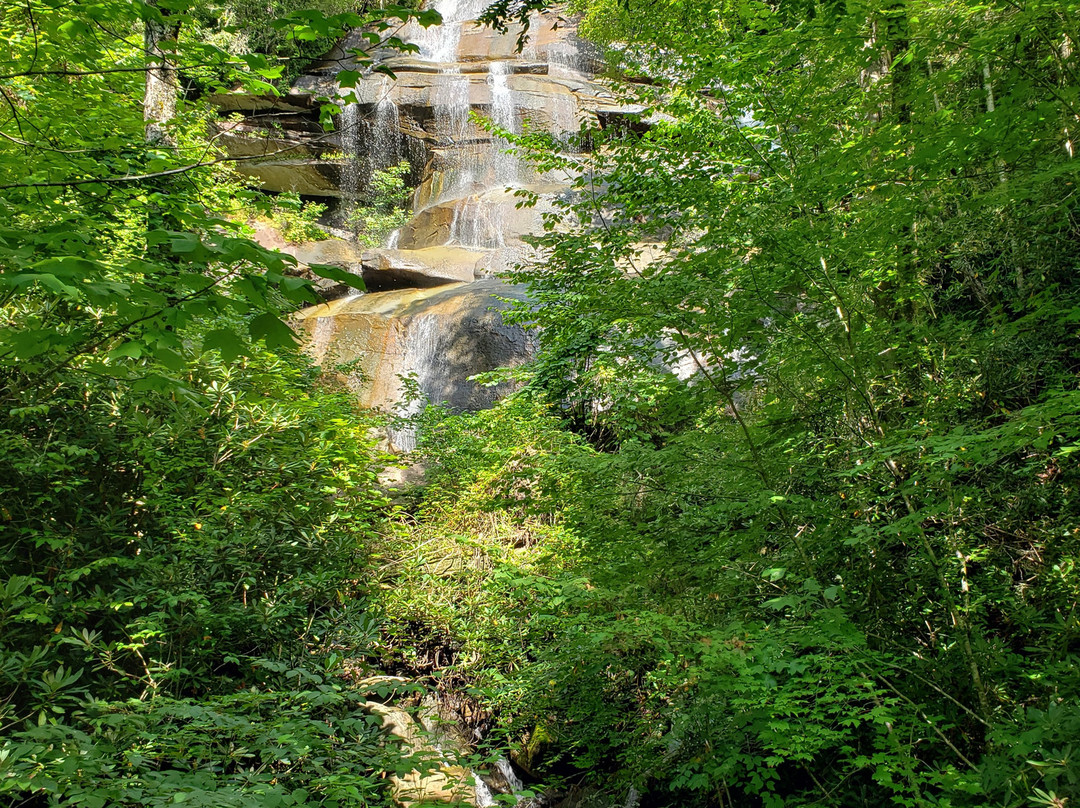 Daniel Ridge Falls景点图片