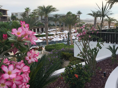 Chileno Bay Los Cabos-卡波圣卢卡斯必去景点