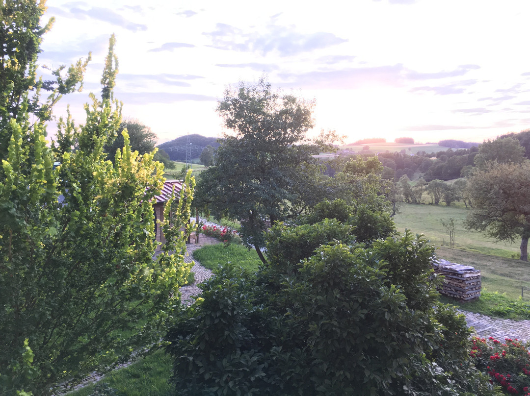 Rhöen-Hotel Sonnenhof主图