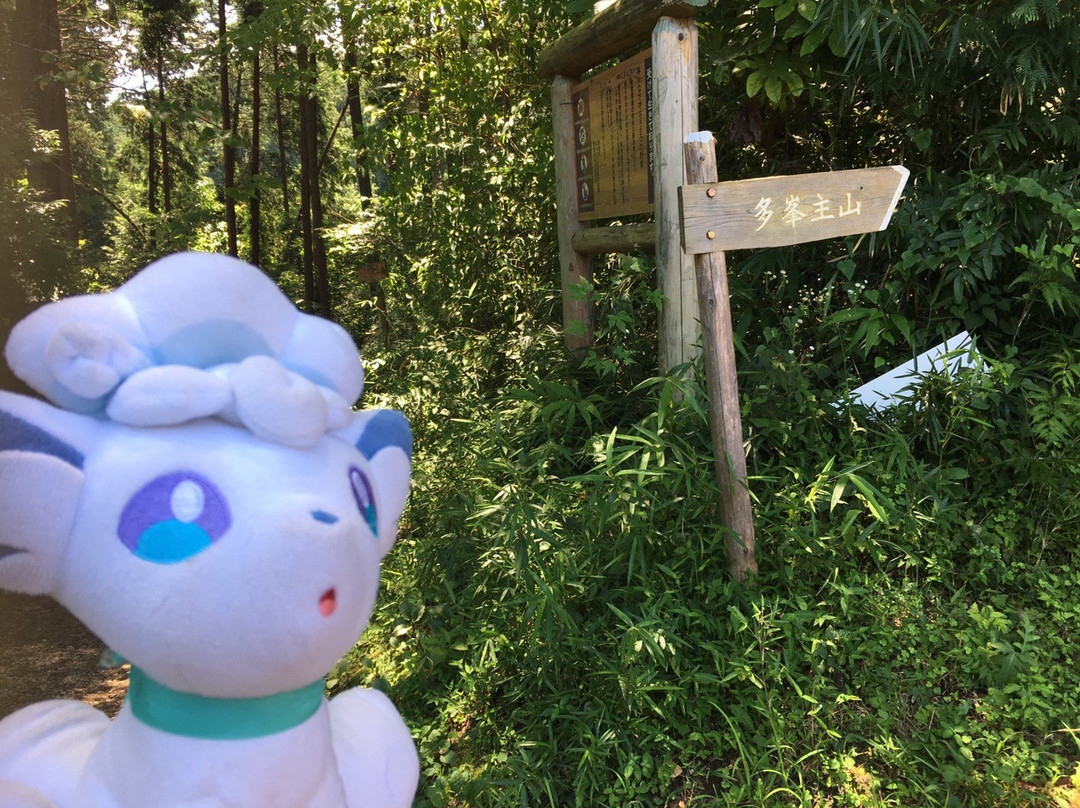 Tonosu Mountain-饭能市必去景点