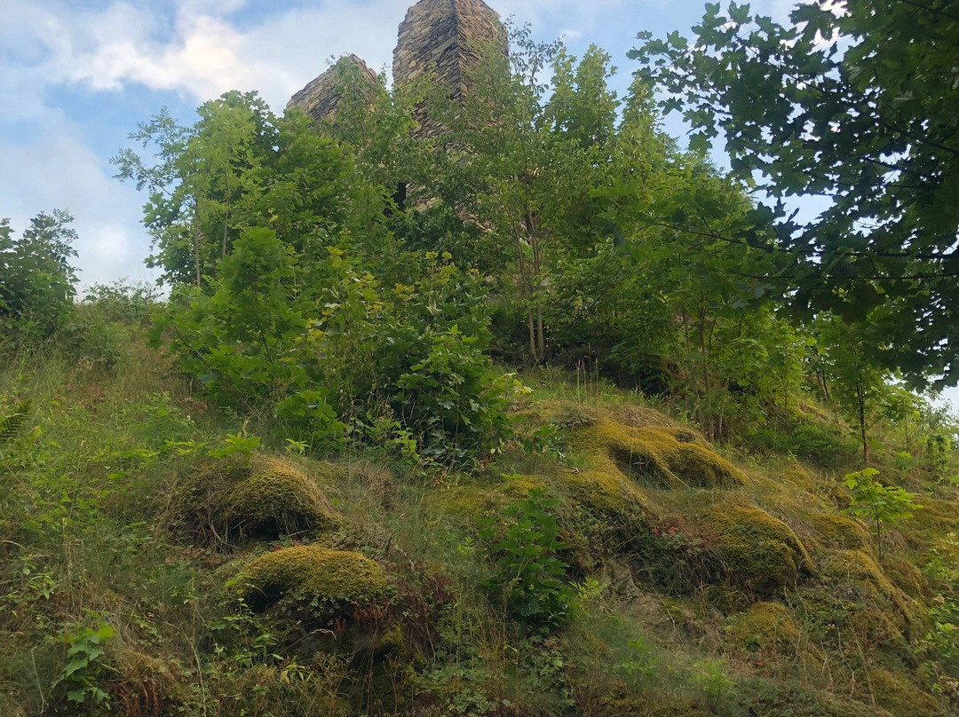 Andelska Hora Castle景点图片