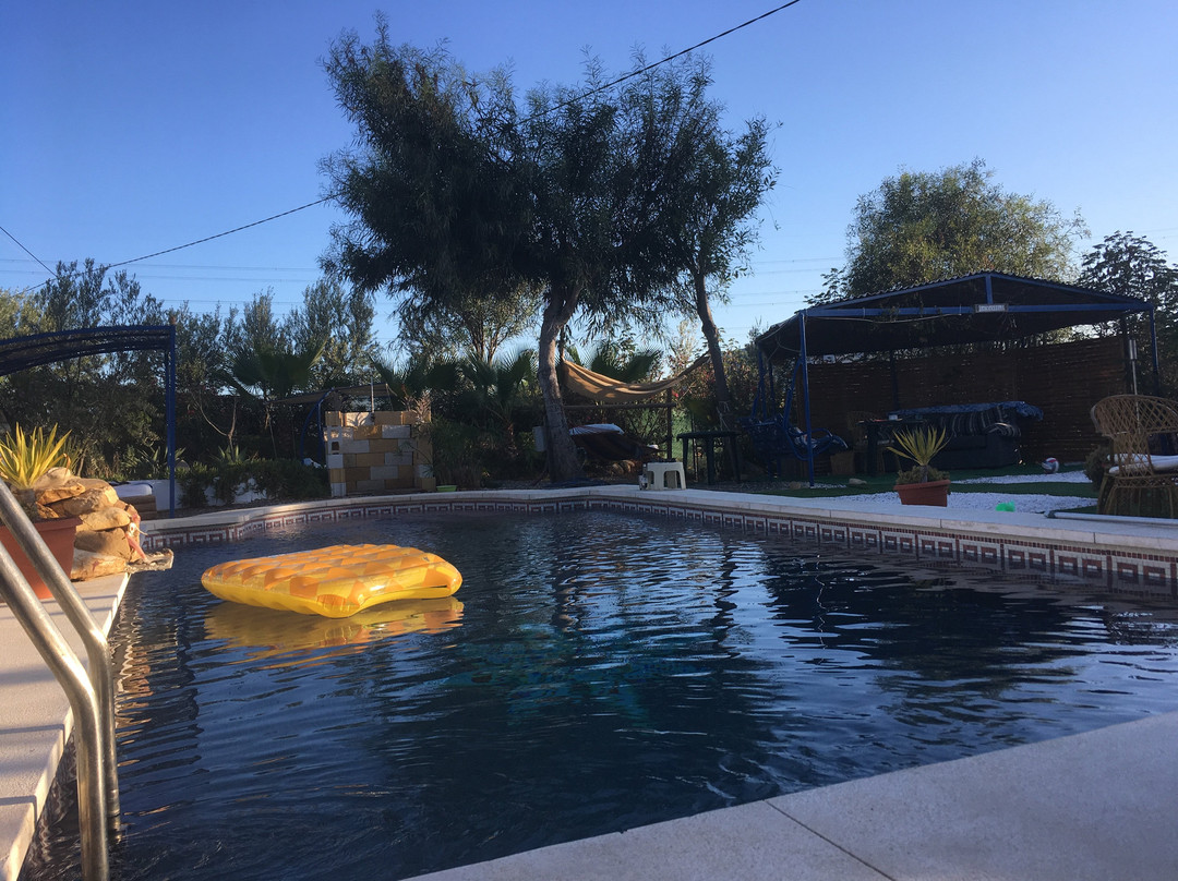 B&B Dos Alamos主图